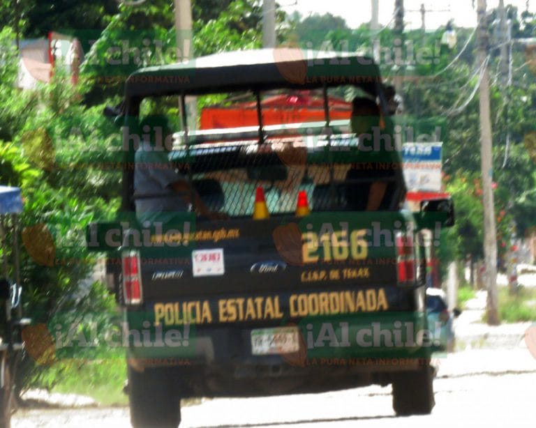Vecinos atrapan a una rata