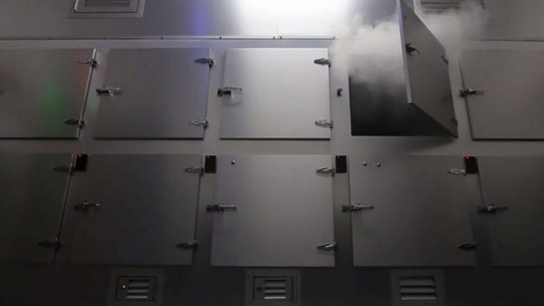 NIÑOS EN LA MORGUE