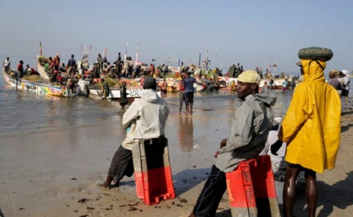 Más de 500 pescadores se contagian de una extraña enfermedad