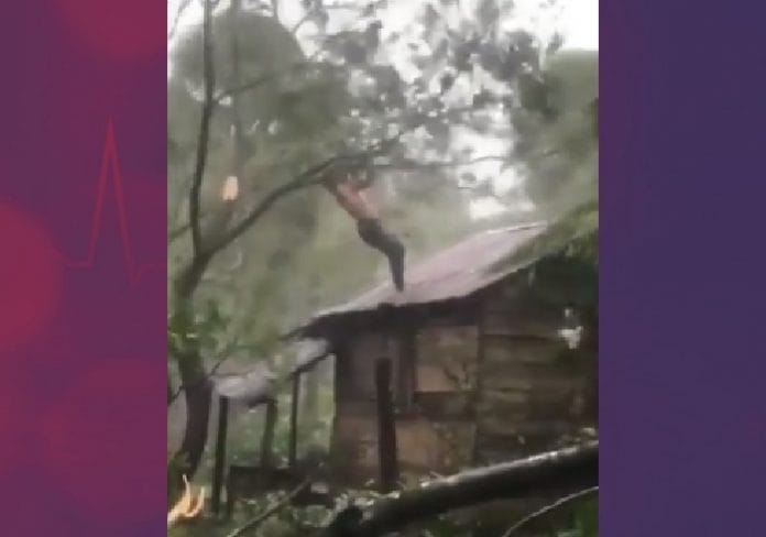 Se enfrenta a la tormenta 'Eta' para proteger a su esposa (video)