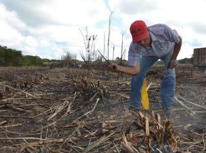 Este 2021 la sequía en Yucatán será muy diferente a la de años pasados