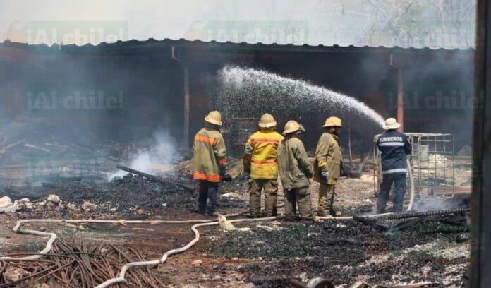 bomberos combaten Incendio Cholul