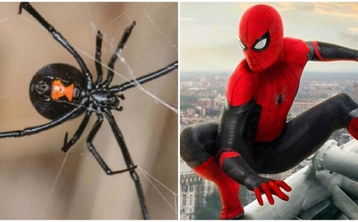El Hombre Araña, Spider-Man, es uno de los superhéroes más queridos y populares en todo el mundo por sus increíbles poderes