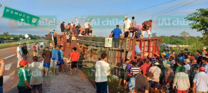 Vuelca trailer de cerdos en la Mérida - Campeche y vecinos rapiñan