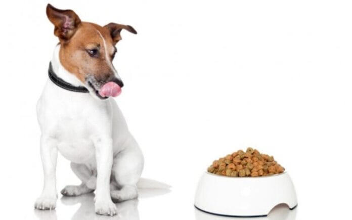 alimentos saludables para perros