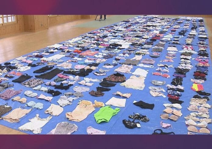 Sujeto robó 730 piezas de calzones de mujer de una lavandería