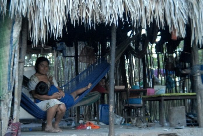 Familia yucateca viven en pobreza extrema dentro de la selva maya