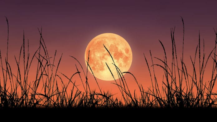 Luna de cosecha: cuándo y a qué hora verla este septiembre de 2022