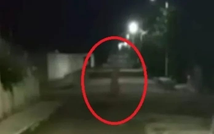 Captan silueta de una mujer de blando en Tizimín (VIDEO)