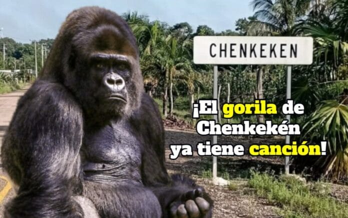 gorila de Chenkekén