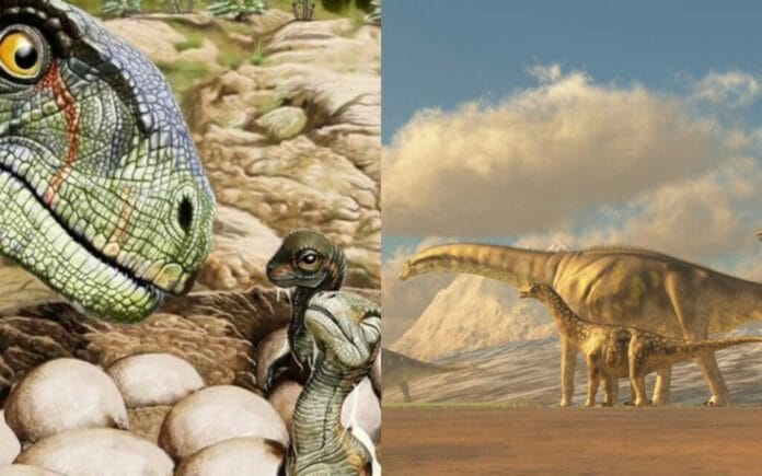 ¡Se descubren más de 250 huevos de dinosaurio fosilizados!