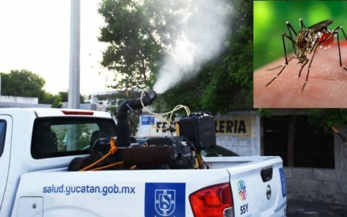 dengue en Yucatán