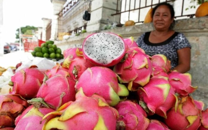 Yucatán exportará frutas
