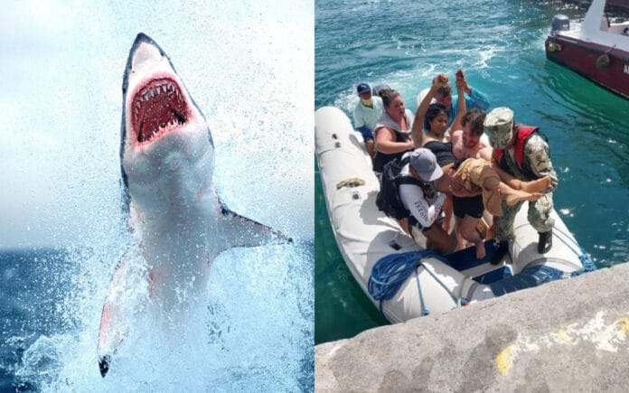 ¡Horror en el océano!  Turista mexicana fue atacada por un tiburón