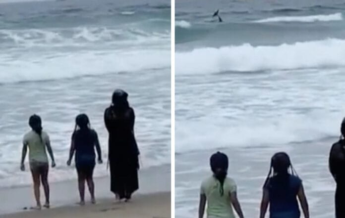Avistan a una sirena en las playas de Tijuana (VÍDEO)
