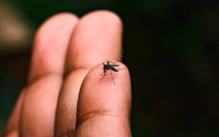 Dengue en Yucatán