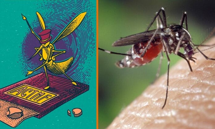 Mitos y verdades del Dengue;  lo que debes saber sobre este virus