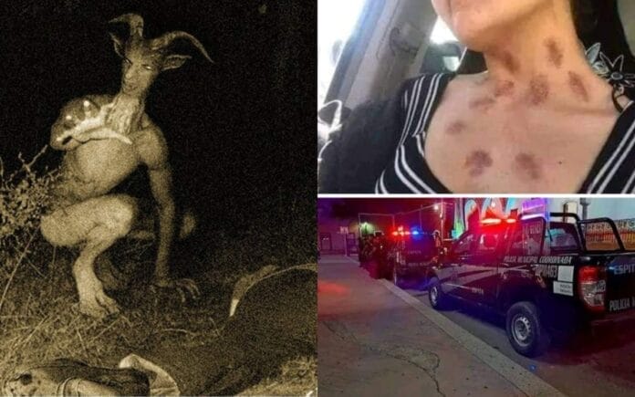 Huay Chivo atacó a una mujer en Espita