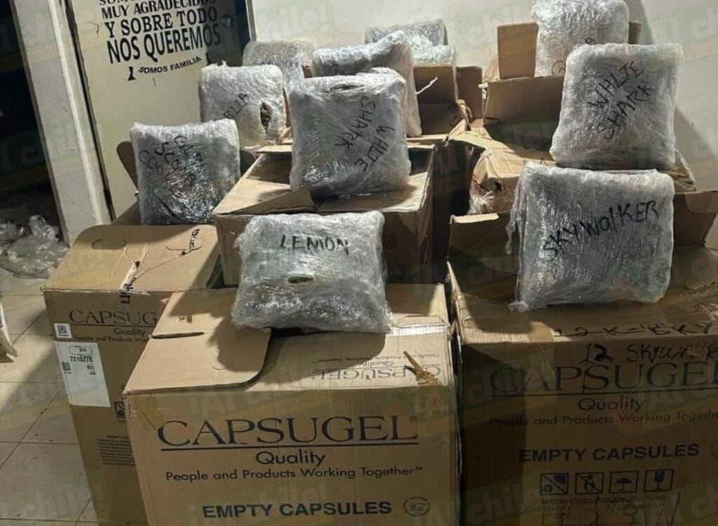 Yucatán. Autoridades aseguran más de 100 kilos de droga durante operativo en Kanasín