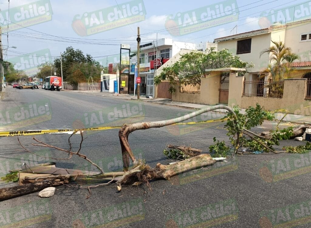 Colonia San Vicente Chuburná y fraccionamiento Limones bloquean calle por falta de energía eléctrica en Mérida. Vecinos exigen solución.