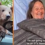 Abuelita casi pierde la mano al intentar sacarse una selfie con un oso: “pensé que quería ser mi amigo”