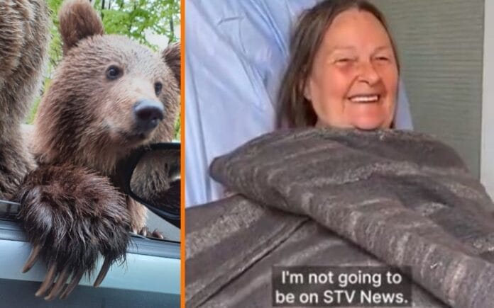 Abuelita casi pierde la mano al intentar sacarse una selfie con un oso: “pensé que quería ser mi amigo”
