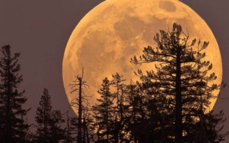 Ritual energía Luna Luna del Cazador