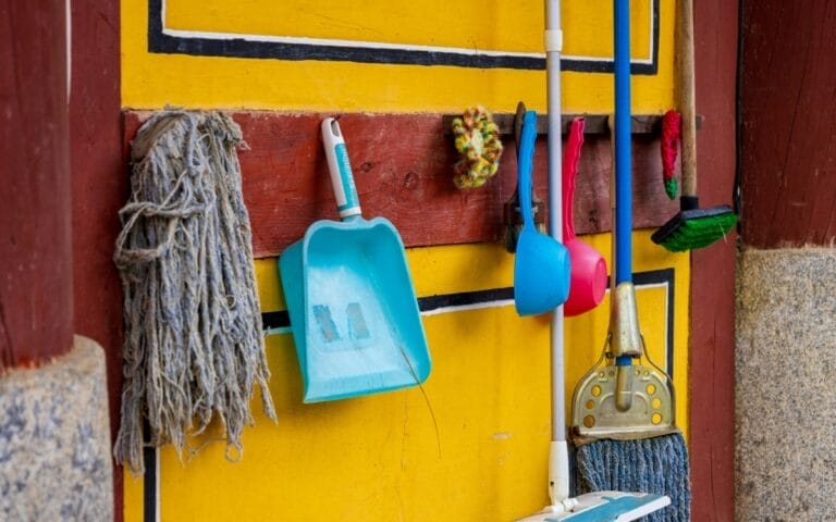 Científicos ALERTAN sobre el uso de los trapos de cocina: Podrían causarte esta terrible enfermedad