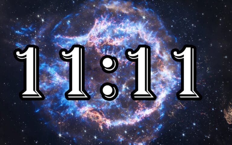 Portal 11 11