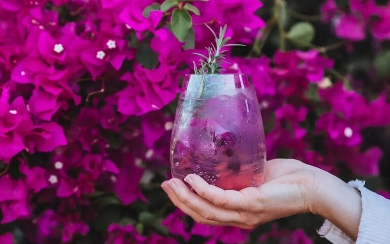 Recetas de Cuaresma: Agua de buganvilia, una bebida antibiótica y bonita