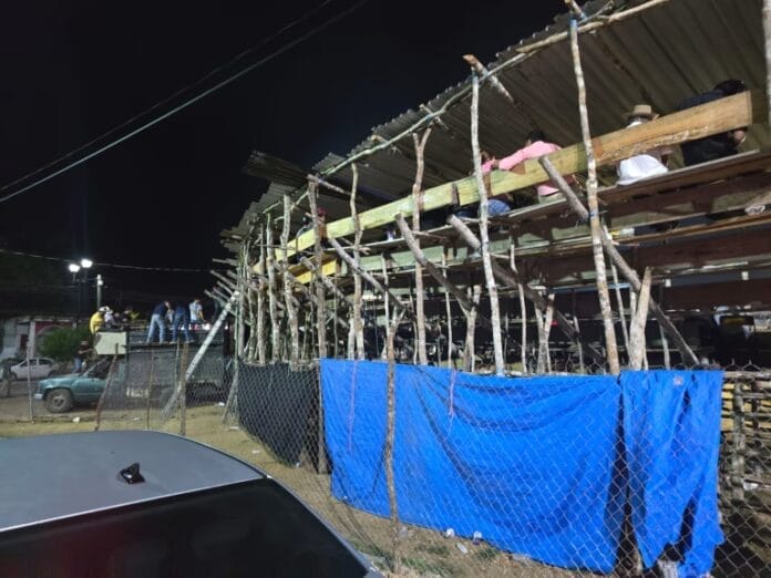 VIDEO FUERTE: Fiesta tradicional de Tetiz deja dos caballos y un perro sin vida