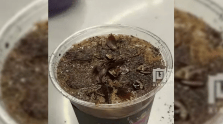 Cafetería crea café con cucarachas y chavos hacen filas para probarlo