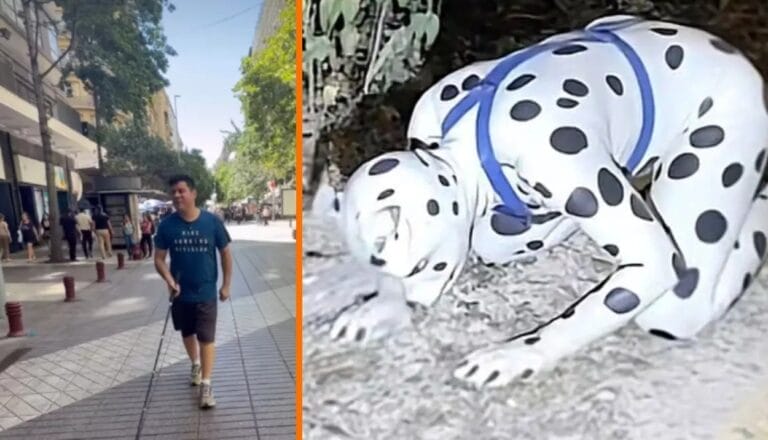 Hombre invidente busca “Therian” para que sea su perro guía