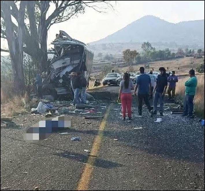 Autobús lleno de pasajeros se estampa contra un árbol en una curva traicionera y deja 9 muertos