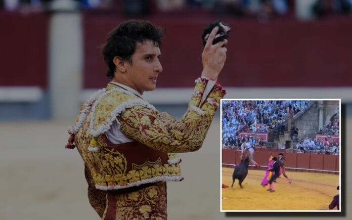 Andrés Roca Rey Torero cornada