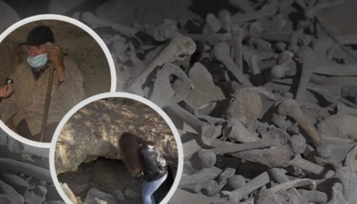 Cuevas de los huesos en Chapultepec: restos humanos, misterio y un hombre que vive entre ellos