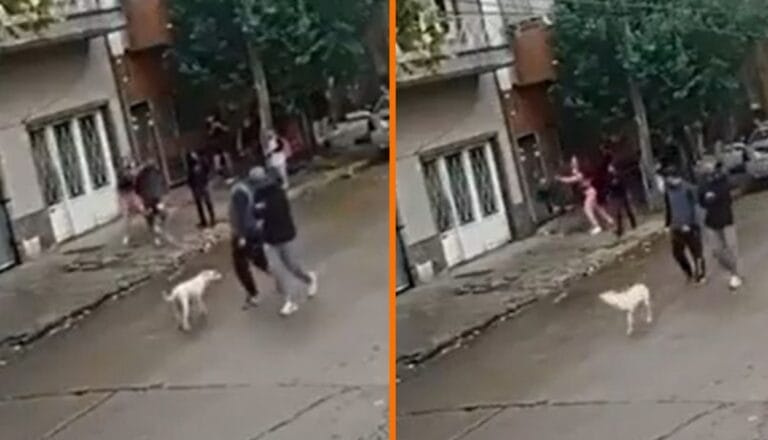 Chavito es apuñalado por su morrita rumbo a la escuela: todo por un ataque de celos (VIDEO FUERTE)