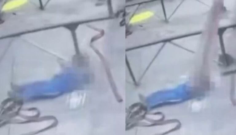 Andamio se viene abajo y le da en plena cabeza a chambeador de una fábrica: no sobrevivió