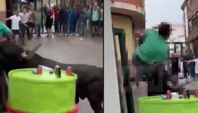 Toro desata el horror en corrida: ganadero muere tras brutal ataque (VIDEO FUERTE)