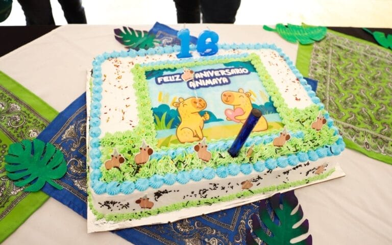 Celebra Animaya 16 años Cecilia Patrón