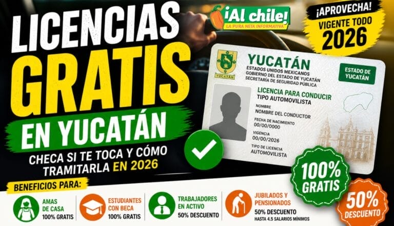 Gobierno lanza licencias GRATIS y con descuento para Yucatán: checa si aplicas