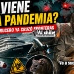 ¿Se viene otra pandemia? Brote de hantavirus en crucero ya salió al mundo y enciende alarmas