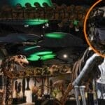El “último titán”: descubren dinosaurio gigante que pesaba como nueve elefantes