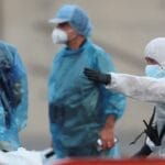 ¿Ya valió queso? Muere persona por hantavirus y autoridades revelan que no viene del crucero