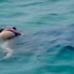 Su cabello quedó atrapado en la turbina: turista casi muere ahogada en moto acuática