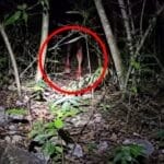 Captan supuesta aparición de un alux en la Reserva Cuxtal y desata terror en redes