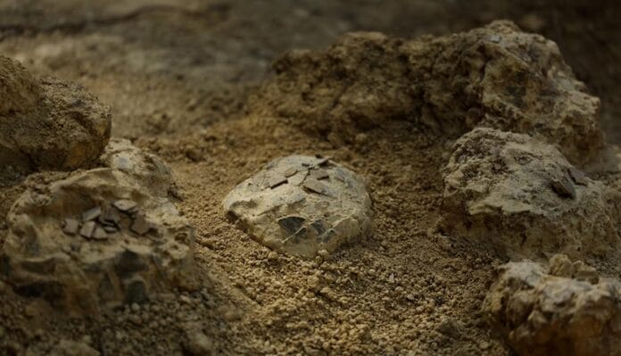 Descubren enorme cementerio de huevos de dinosaurio y conecta a Francia con la Patagonia