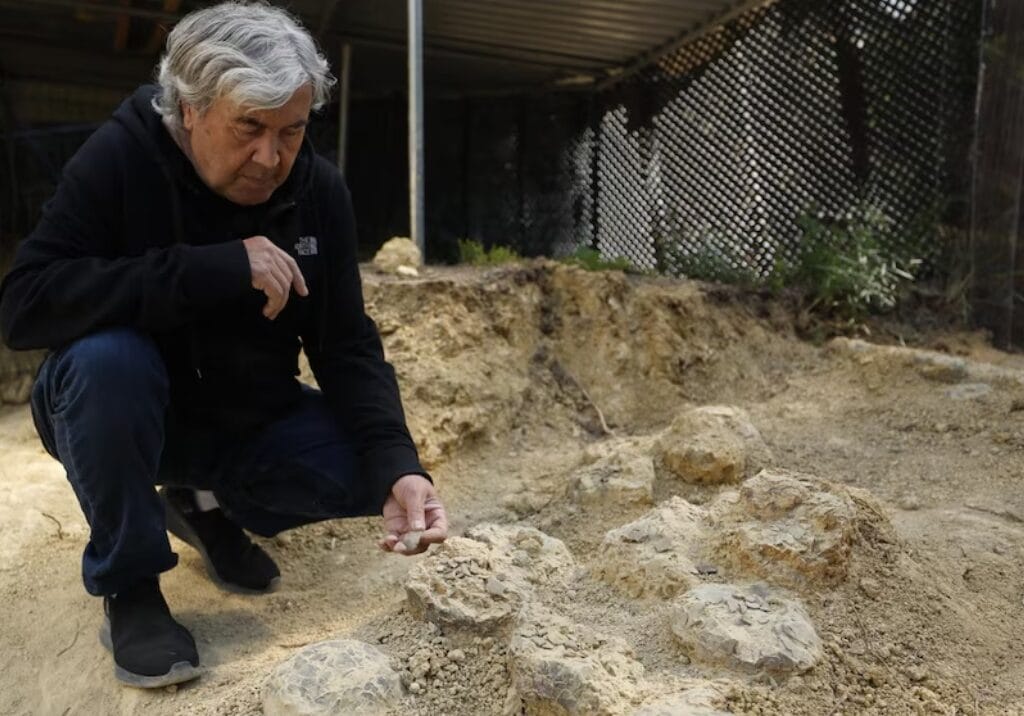 Descubren enorme cementerio de huevos de dinosaurio y conecta a Francia con la Patagonia