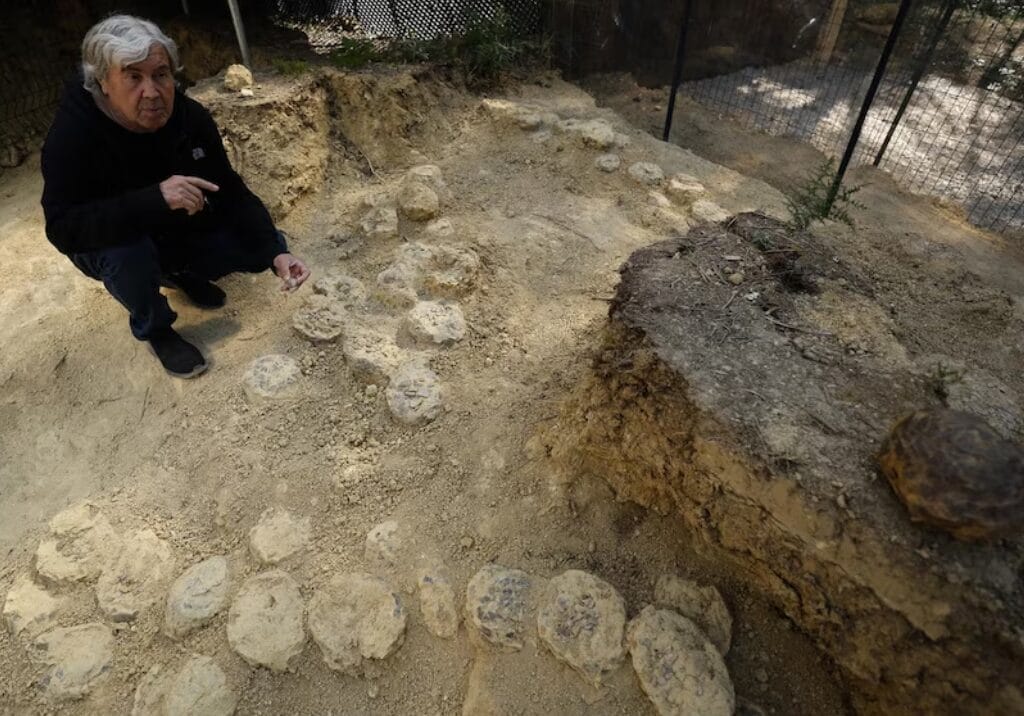 Descubren enorme cementerio de huevos de dinosaurio y conecta a Francia con la Patagonia