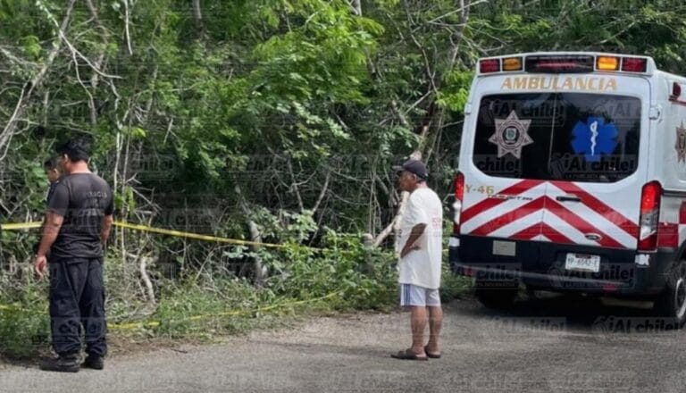 Joven salió en su moto y nunca regresó: murió tras darse contra un árbol en la Tixmehuac-Nenelá